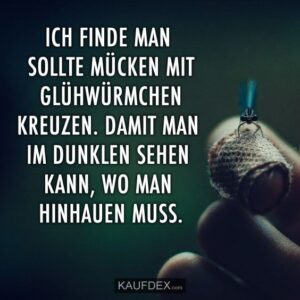 ICH FINDE MAN SOLLTE MÜCKEN MIT GLÜHWÜRMCHEN KREUZEN. DAMIT MAN IM DUNKELN SEHEN KANN, WO MAN HINHAUEN MUSS.