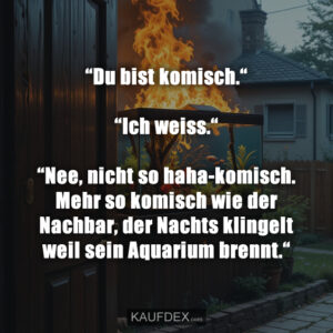 “Du bist komisch.“ “Ich weiss.“ “Nee, nicht so haha-komisch. Mehr so komisch wie der Nachbar, der Nachts klingelt weil sein Aquarium brennt.“