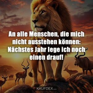 An alle Menschen, die mich nicht ausstehen können: Nächstes Jahr lege ich noch einen drauf!
