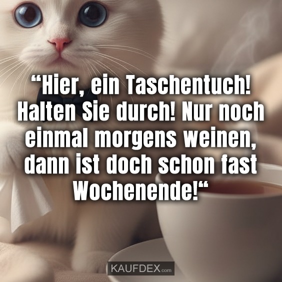 “Hier, ein Taschentuch! Halten Sie durch! Nur noch einmal morgens weinen, dann ist doch schon fast Wochenende!“