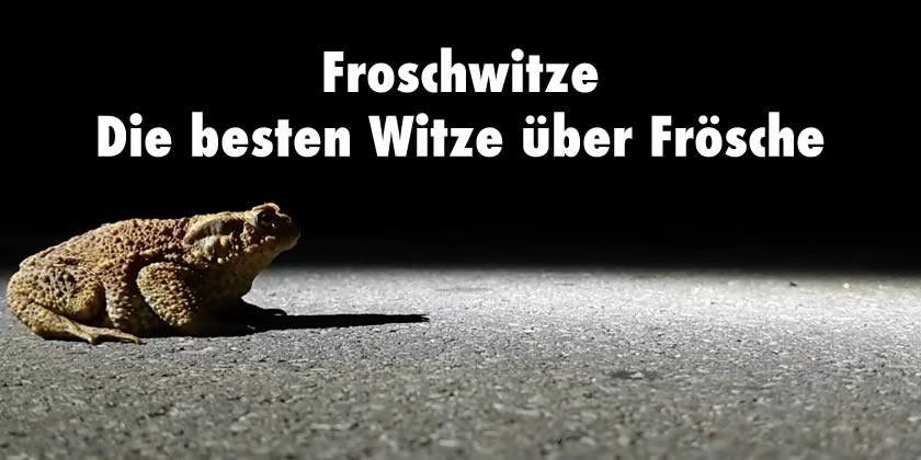 Froschwitze – Die besten Witze über Frösche