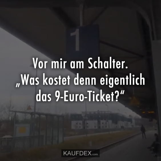 Vor mir am Schalter. „Was kostet denn eigentlich das 9-Euro-Ticket?“