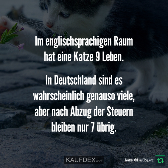 Im englischsprachigen Raum hat eine Katze 9 Leben... Kaufdex