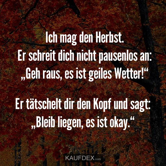 Ich mag den Herbst. Er schreit dich nicht pausenlos an: