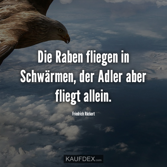 Die Raben fliegen in Schwärmen…