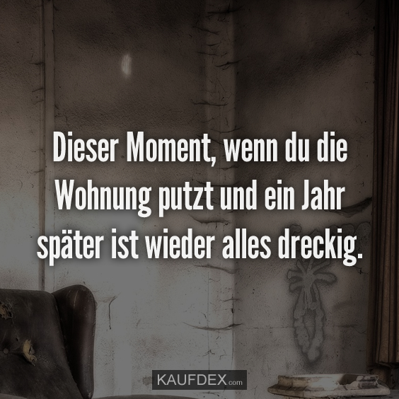 Dieser Moment, wenn du die Wohnung putzt…