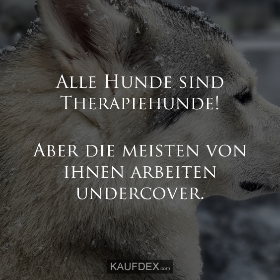 Alle Hunde sind Therapiehunde!