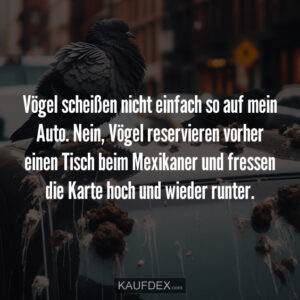Vögel scheißen nicht einfach so auf mein Auto. Nein, Vögel reservieren vorher einen Tisch beim Mexikaner und fressen die Karte hoch und wieder runter.