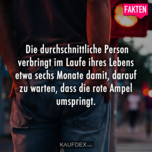 Die durchschnittliche Person verbringt im Laufe ihres Lebens etwa sechs Monate damit, darauf zu warten, dass die rote Ampel umspringt.