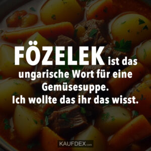 FÖZELEK ist das ungarische Wort für eine Gemüsesuppe. Ich wollte das ihr das wisst.