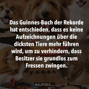 Das Guinnes-Buch der Rekorde hat entschieden, dass es keine Aufzeichnungen über die dicksten Tiere mehr führen wird, um zu verhindern, dass Besitzer sie grundlos zum Fressen zwingen.