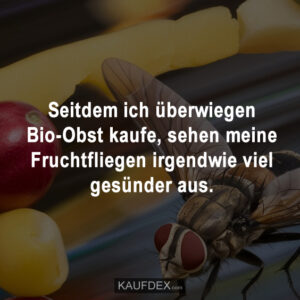 Seitdem ich überwiegend Bio-Obst kaufe, sehen meine Fruchtfliegen irgendwie viel gesünder aus.