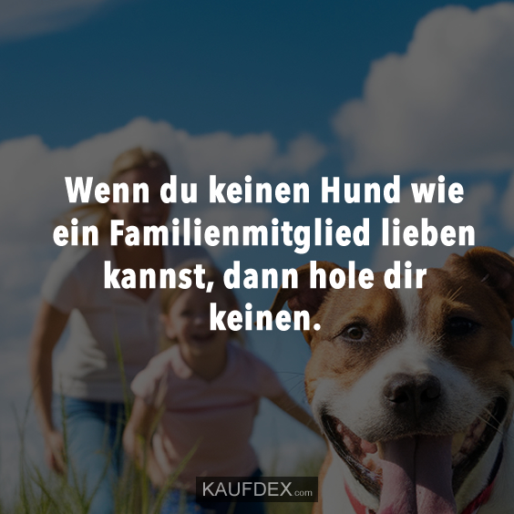 Wenn du keinen Hund wie ein Familienmitglied lieben kannst... Kaufdex