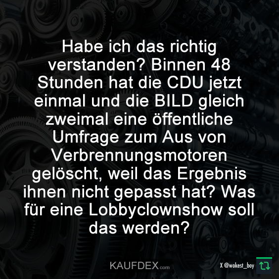 Habe ich das richtig verstanden?