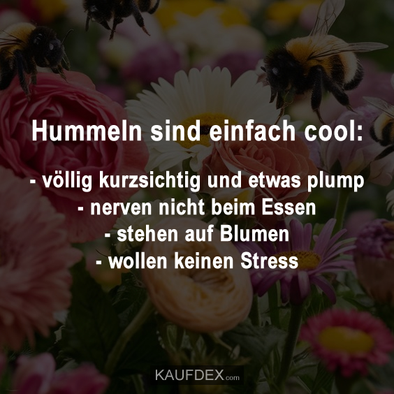 Hummeln sind einfach cool Kaufdex