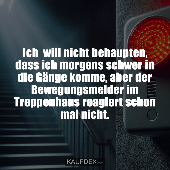 Ich will nicht behaupten, dass ich morgens schwer in die Gänge komme, aber der Bewegungsmelder im Treppenhaus reagiert schon mal nicht.