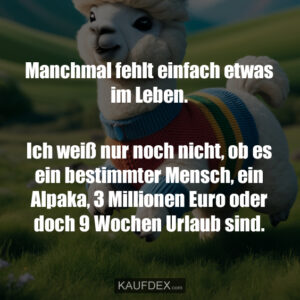Manchmal fehlt einfach etwas im Leben. Ich weiß nur noch nicht, ob es ein bestimmter Mensch, ein Alpaka, 3 Millionen Euro oder doch 9 Wochen Urlaub sind.