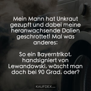 Mein Mann hat Unkraut gezupft und dabei meine heranwachsende Dahlien geschrottet! Mal was anderes: So ein Bayerntrikot, handsigniert von Lewandowski, wäscht man doch bei 90 Grad, oder?