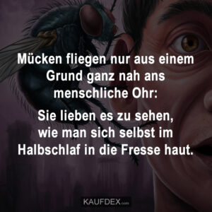 Mücken fliegen nur aus einem Grund ganz nah ans menschliche Ohr: Sie lieben es zu sehen, wie man sich selbst im Halbschlaf in die Fresse haut.