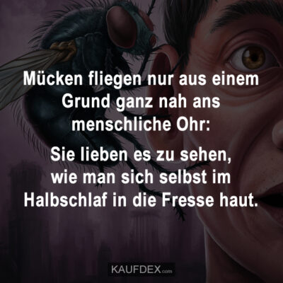 Habt ihr ne Bohrmaschine? Kaufdex Lustige Sprüche mit Bildern