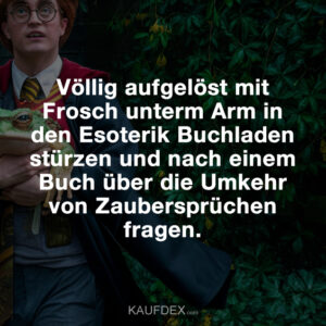 Völlig aufgelöst mit Frosch unterm Arm in den Esoterik Buchladen stürzen und nach einem Buch über die Umkehr von Zaubersprüchen fragen.