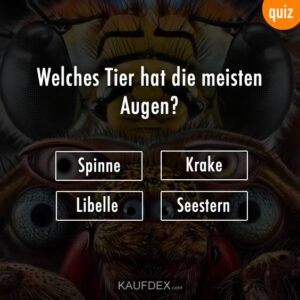 Welches Tier hat die meisten Augen? a) Spinne b) Krake c) Libelle d) Seestern Richtige Antwort: a) Spinne Spinnen haben je nach Art zwischen 6 und 8 einzelne Augen, während Libellen zwar zwei große Facettenaugen haben, die aus vielen tausend Einzelaugen bestehen, aber nicht als "mehrere Augen" im gleichen Sinne wie bei Spinnen zählen.