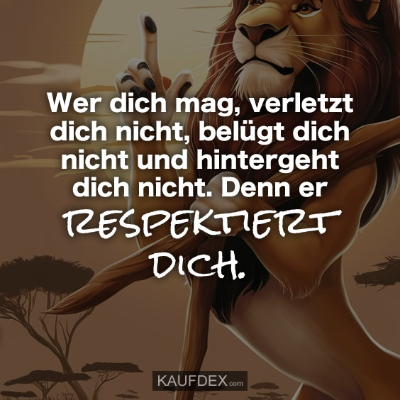 Wer dich mag, verletzt dich nicht, belügt dich nicht und hintergeht dich nicht. Denn er respektiert dich.
