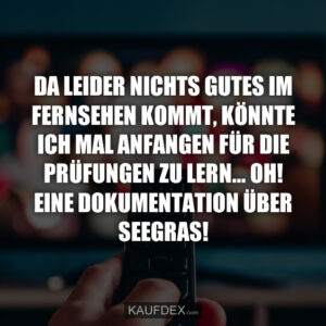 Da leider nichts gutes im Fernsehen kommt, könnte ich mal anfangen für die Prüfungen zu lern... OH! Eine Dokumentation über Seegras! 