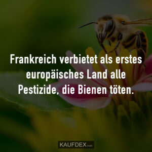 Frankreich verbietet als erstes europäisches Land alle Pestizide, die Bienen töten.