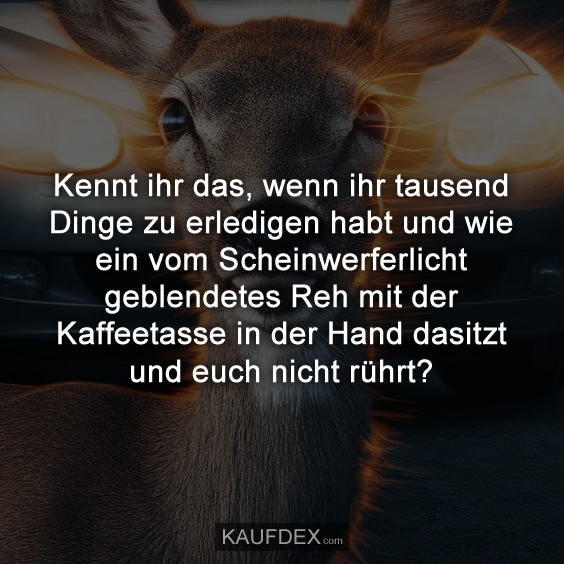 Kennt ihr das, wenn ihr tausend Dinge zu erledigen habt und wie