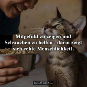 Mitgefühl zu zeigen und Schwachen zu helfen - darin zeigt sich echte Menschlichkeit.