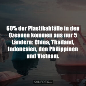 60% der Plastikabfälle in den Ozeanen kommen aus nur 5 Ländern: China, Thailand, Indonesien, den Philippinen und Vietnam.