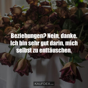 Beziehungen? Nein, danke. Ich bin sehr gut darin, mich selbst zu enttäuschen.