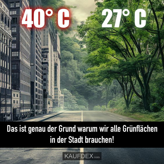 Das ist genau der Grund warum wir alle…