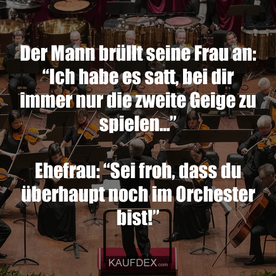 Der Mann brüllt seine Frau an: “Ich habe es satt, bei dir immer nur die zweite Geige zu spielen…