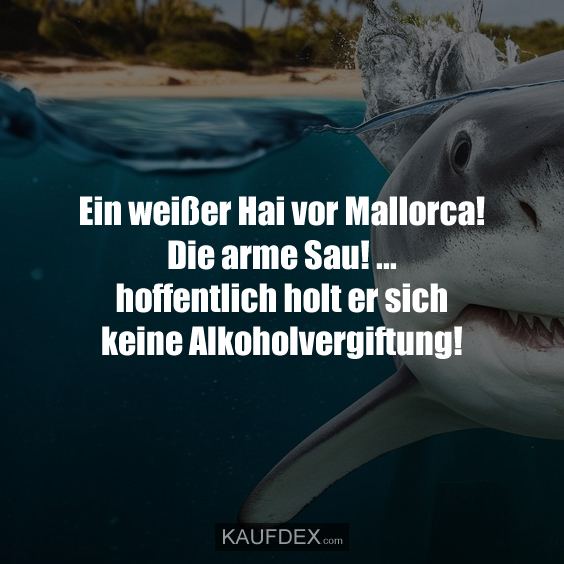 Ein weißer Hai vor Mallorca! Die arme Sau! ... hoffentlich holt er sich keine Alkoholvergiftung!