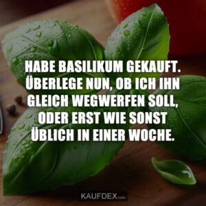 HABE BASILIKUM GEKAUFT. ÜBERLEGE NUN, OB ICH IHN GLEICH WEGWERFEN SOLL, ODER ERST WIE SONST ÜBLICH IN EINER WOCHE.