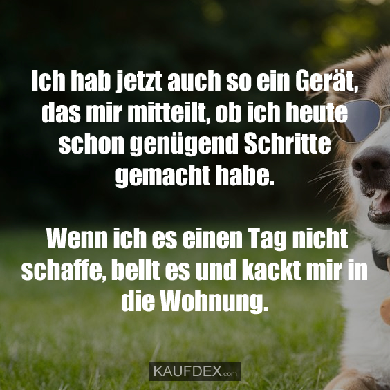 Ich hab jetzt auch so ein Gerät, das mir mitteilt, ob ich heute schon genügend Schritte gemacht habe. Wenn ich es einen Tag nicht schaffe, bellt es und kackt mir in die Wohnung.