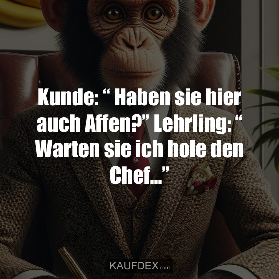 Kunde: “ Haben sie hier auch Affen?” Lehrling: “ Warten sie ich hole den Chef...”