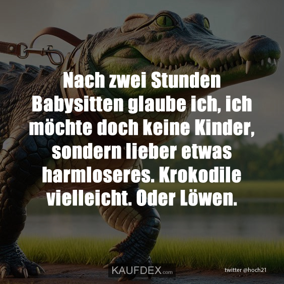 Nach zwei Stunden Babysitten glaube ich…