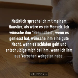 Natürlich spreche ich mit meinem Haustier, als wäre es ein Mensch. Ich wünsche ihm “Gesundheit”, wenn es geniesst hat, wünsche ihm eine gute Nacht, wenn es schlafen geht und entschuldige mich bei ihm, wenn ich ihm aus Versehen wehgetan habe.