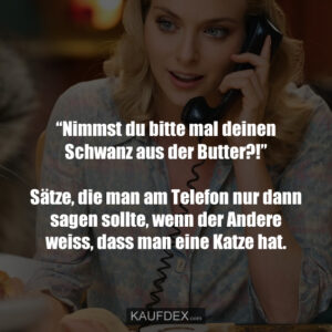 “Nimmst du bitte mal deinen Schwanz aus der Butter?!” Sätze, die man am Telefon nur dann sagen sollte, wenn der Andere weiss, dass man eine Katze hat.