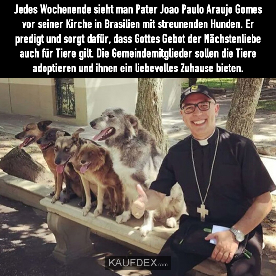 Jedes Wochenende sieht man Pater Joao Paulo Araujo Gomes vor seiner Kirche in Brasilien mit streunenden Hunden. Er predigt und sorgt dafür, dass Gottes Gebot der Nächstenliebe auch für Tiere gilt. Die Gemeindemitglieder sollen die Tiere adoptieren und ihnen ein liebevolles Zuhause bieten.