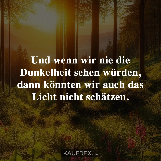 Und wenn wir nie die Dunkelheit sehen würden, dann könnten wir auch das Licht nicht schätzen.