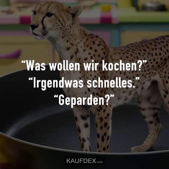 “Was wollen wir kochen?” “Irgendwas schnelles.” “Geparden?”