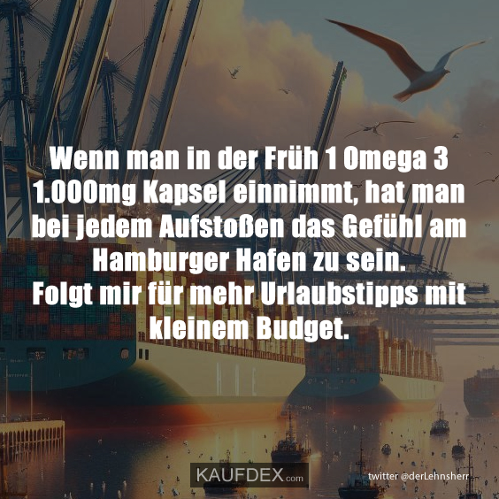 Wenn man in der Früh 1 Omega 3 1.000mg Kapsel einnimmt, hat man bei jedem Aufstoßen das Gefühl am Hamburger Hafen zu sein. Folgt mir für mehr Urlaubstipps mit kleinem Budget.