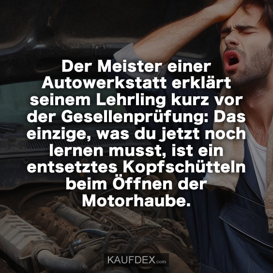 Der Meister einer Autowerkstatt erklärt seinem... Kaufdex