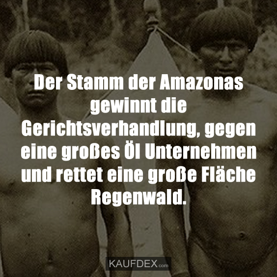 Der Stamm der Amazonas gewinnt die Gerichtsverhandlung, gegen eine großes Öl Unternehmen und rettet eine große Fläche Regenwald.