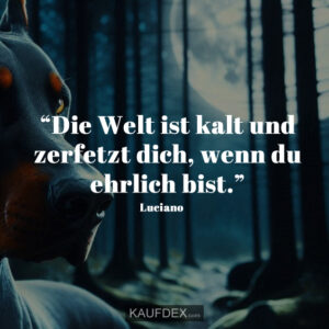 Bewerbungs“Die Welt ist kalt und zerfetzt dich, wenn du ehrlich bist.” Luciano