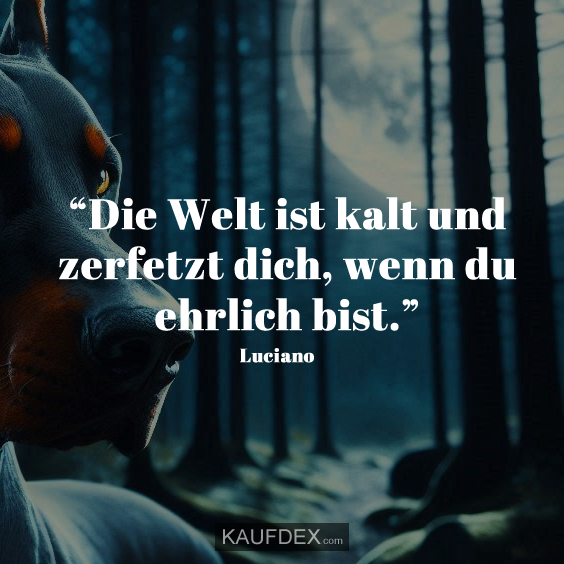 Bewerbungs“Die Welt ist kalt und zerfetzt dich, wenn du ehrlich bist.” Luciano